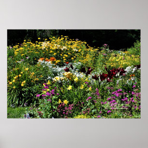 Färgfulla sommarträdgårdar! poster
