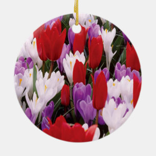 Färgfulla tulpanblommor Ornament