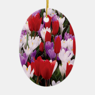 Färgfulla tulpanblommor Ornament
