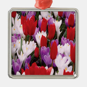 Färgfulla tulpanblommor Ornament