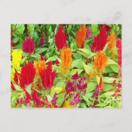 FÄRGFULLFLOR #1 VYKORT