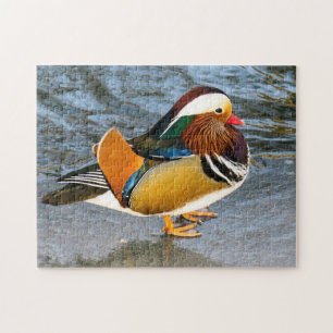 Färgfullt mandarin Anka Photo Puzzle Pussel