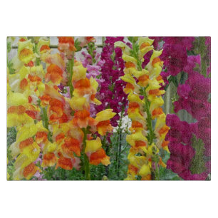 Färgfylld Blommigt för ögonblicksbilder