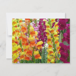 Färgfylld Blommigt för ögonblicksbilder