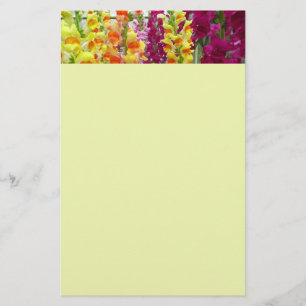 Färgfylld Blommigt för ögonblicksbilder Brevpapper