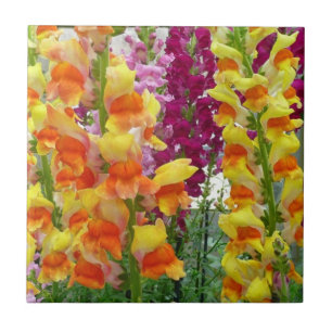 Färgfylld Blommigt för ögonblicksbilder Kakelplatta