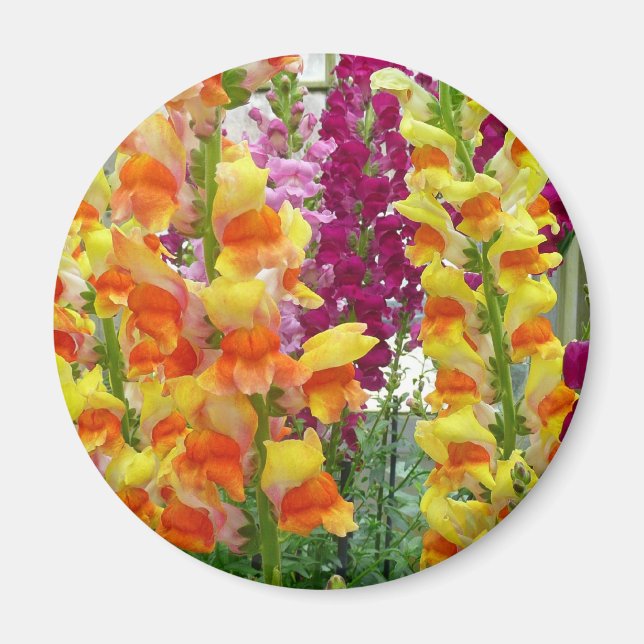 Färgfylld Blommigt för ögonblicksbilder Magnet (Framsidan)