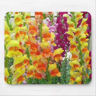 Färgfylld Blommigt för ögonblicksbilder Musmatta