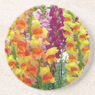 Färgfylld Blommigt för ögonblicksbilder Underlägg