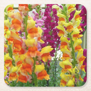 Färgfylld Blommigt för ögonblicksbilder Underlägg Papper Kvadrat