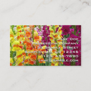 Färgfylld Blommigt för ögonblicksbilder Visitkort