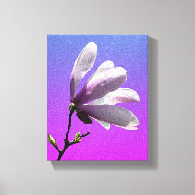 Färgfylld Magnolia Wrapped Canvas (Framsida)