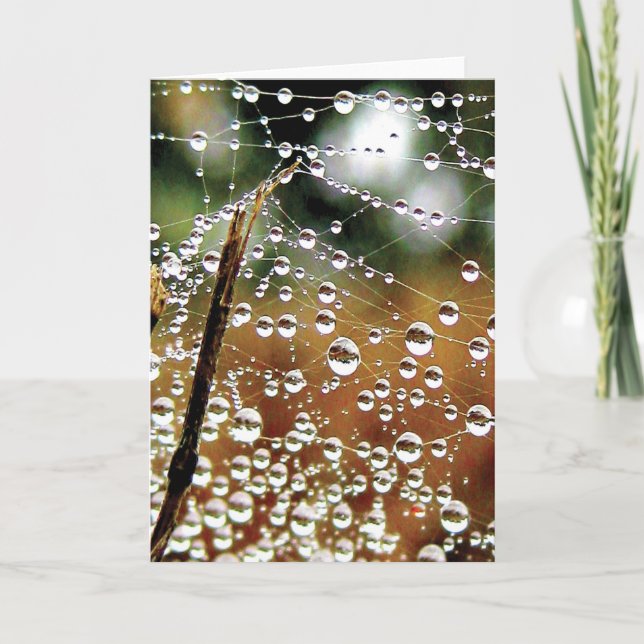 Färgfylld skugga nedåt kort (Framsida)