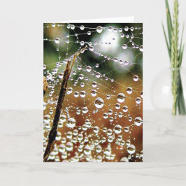 Färgfylld skugga nedåt kort