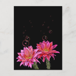 Färgfyllda aktusblommor med bubblor Poster Vykort