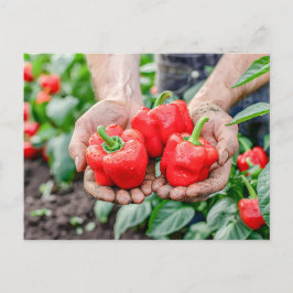 Färgfyllda Bell Peppers och Chili Mix Helg Vykort