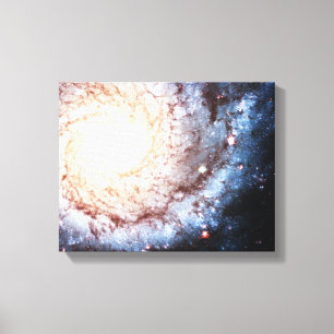 Färgfyllda Cosmos Canvastryck
