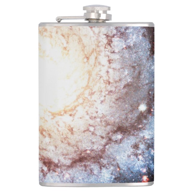 Färgfyllda Cosmos Fickplunta (Framsidan)