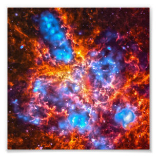Färgfyllda Cosmos Fototryck
