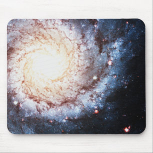 Färgfyllda Cosmos Musmatta