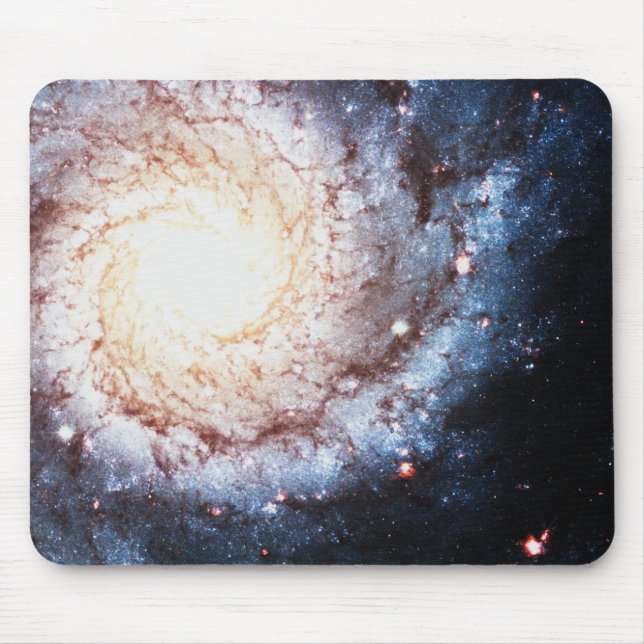 Färgfyllda Cosmos Musmatta (Framsidan)