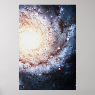 Färgfyllda Cosmos Poster