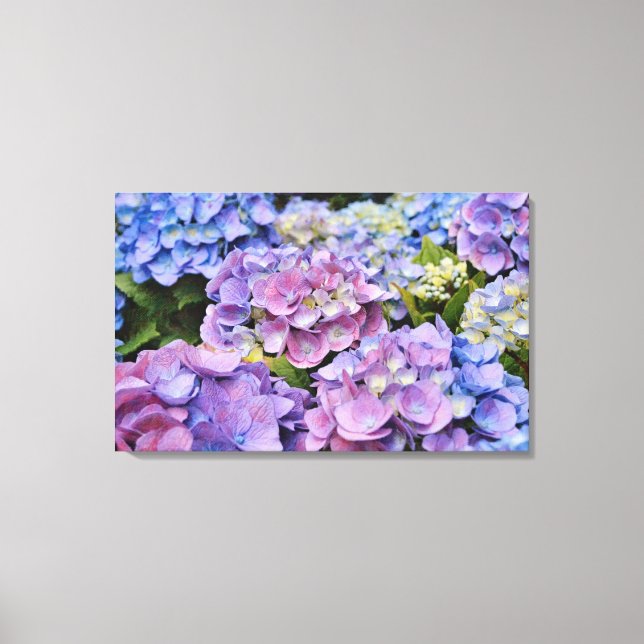 Färgfyllda Hydrangea Flowers Fotografisk art Canvastryck (Framsida)