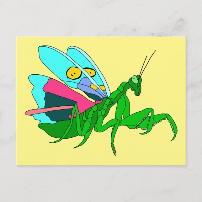 Färgfyllda Praying Mantis Vykort (Framsida)