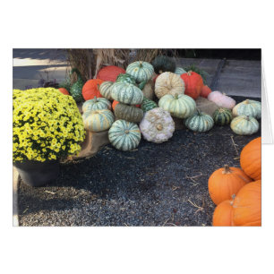 Färgfyllda pumpor hälsningskort
