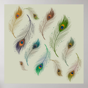 Färgfyllda, realistiska Peacock Feathers Poster