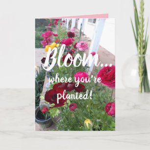 Färgfyllt Bloom där du är planerad till blommiga k Kort
