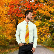 Färgfyllt Geometric Stripe Mönster Tie