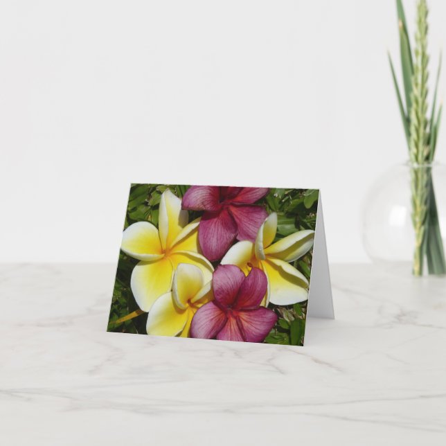 Färgfyllt hawaiiskt platshållarkort för mappad häl kort (Framsida)