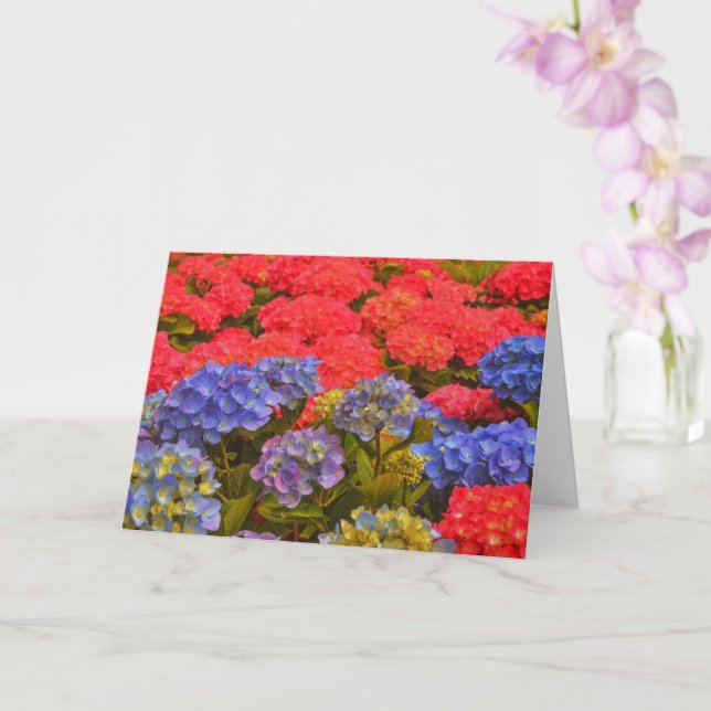 Färgfyllt Hydrangea Blomsterträdgård Art Note Card Kort (Orkide)