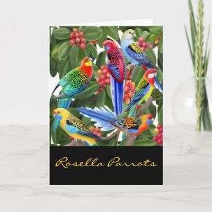 Färgfyllt Rosella Parrots-kort Helgkort