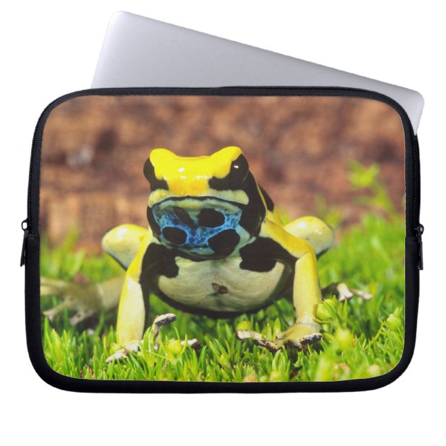 Färggiftgroda, Dendrobates tinctorius, Laptop Sleeve (Framsidan)