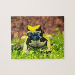 Färggiftsgroda, Dendrobates tinctorius, Pussel