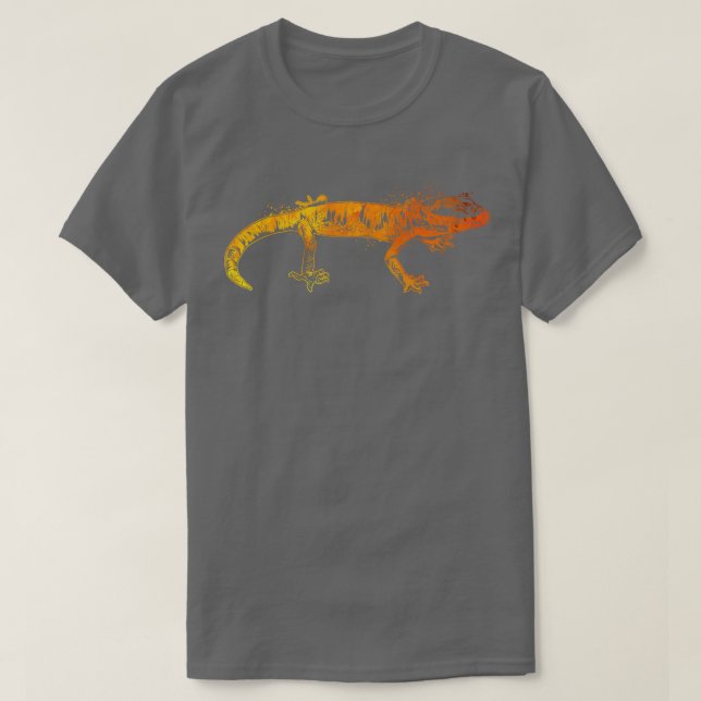 Färggig gecko t shirt (Design framsida)