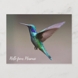 Färggivande hummingbird-Anpassningsbar Vykort