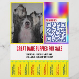Färgglad avrivbar valp sälj flyer