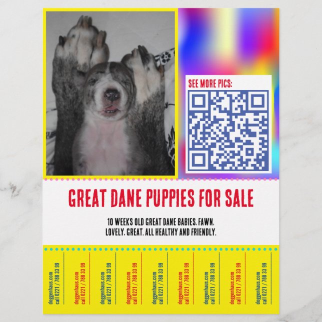 Färgglad avrivbar valp sälj flyer  (Framsidan)