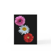 Färgglad Blandad Blommig Margareta Platt Notkort