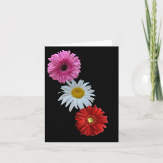 Färgglad Blandad Blommig Margareta Platt Notkort Anteckningskort