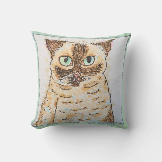 Färgglad Excentrisk Kattporträtt Kudde (Framsida)