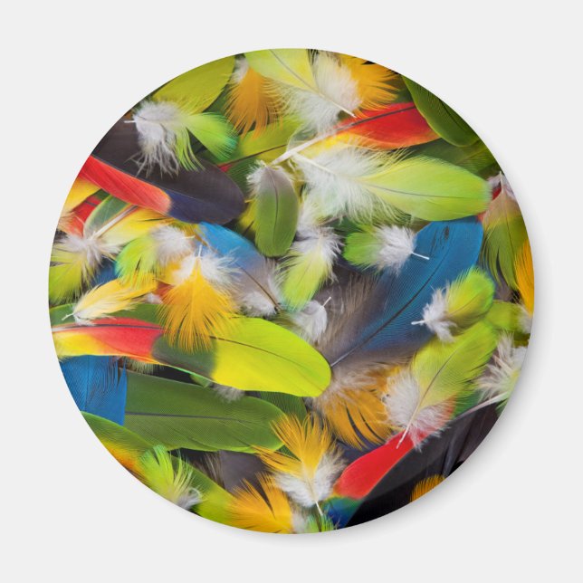 Färgglad fjäderhög magnet (Framsidan)