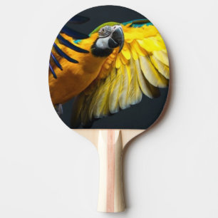 Färgglad flygAra på en mörk bakgrund Pingisracket