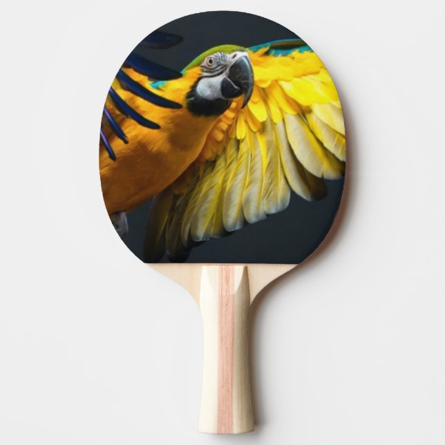 Färgglad flygAra på en mörk bakgrund Pingisracket (Framsidan)