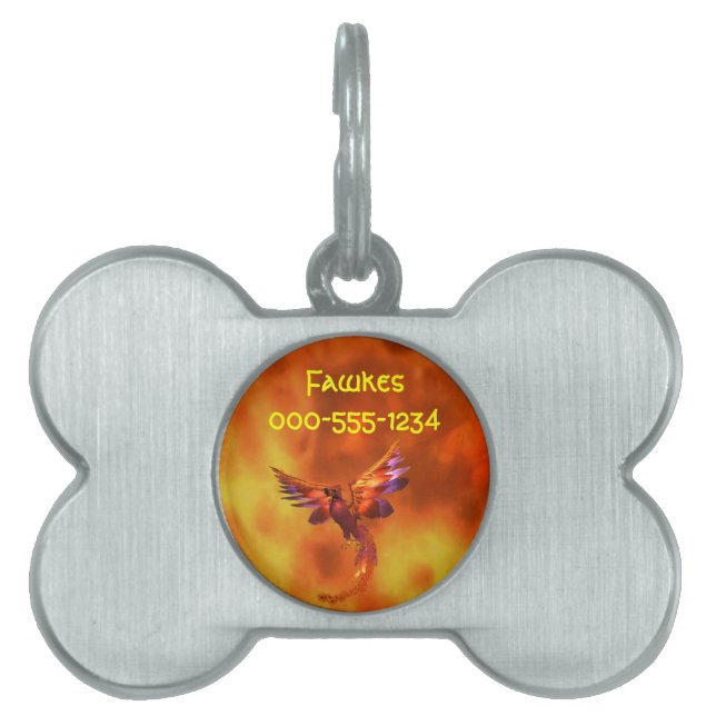 Färgglad fotogen som flyger mot en fiskbakgrund namnbricka husdjur (Framsidan)