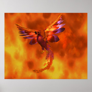 Färgglad fotogen som flyger mot en fiskbakgrund poster
