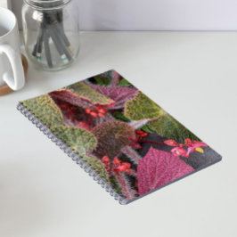 Färgglad Luden Begonia Blomma Anteckningsbok